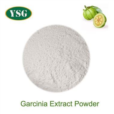 Εκχύλισμα Garcinia σε σκόνη