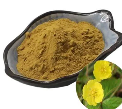 Εκχύλισμα ρίζας Potentilla Erecta